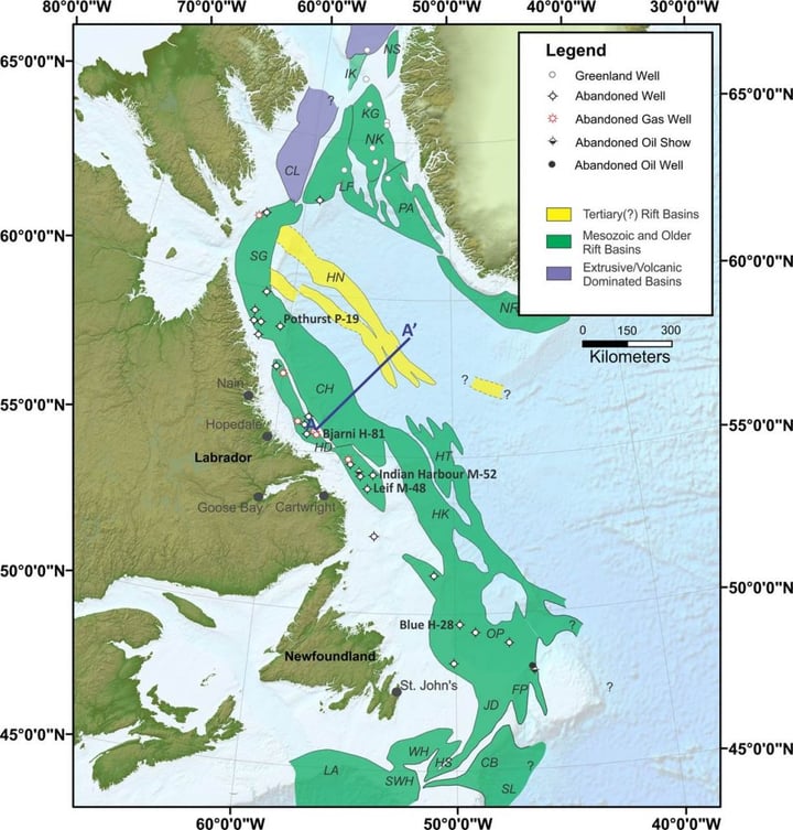 Labrador-area-979x1024